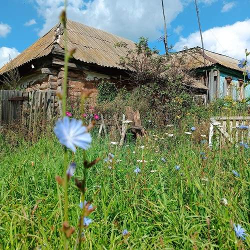 Photo #11106127