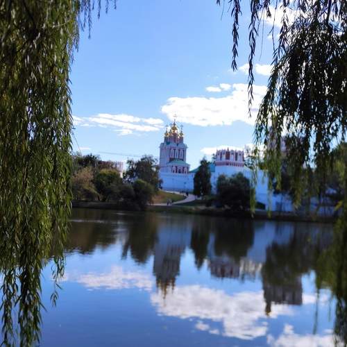 Photo #11106351