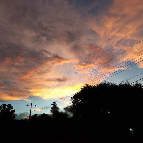 BELLA TARDE