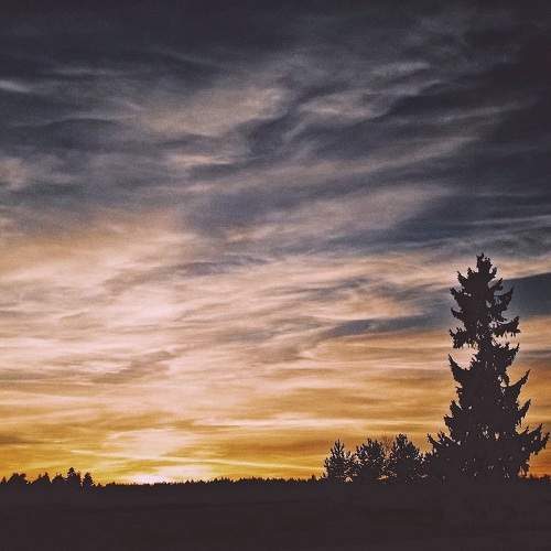 Photo #11106906