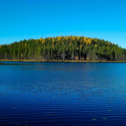 Photo #11106976