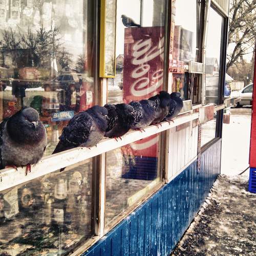 Photo #11107248