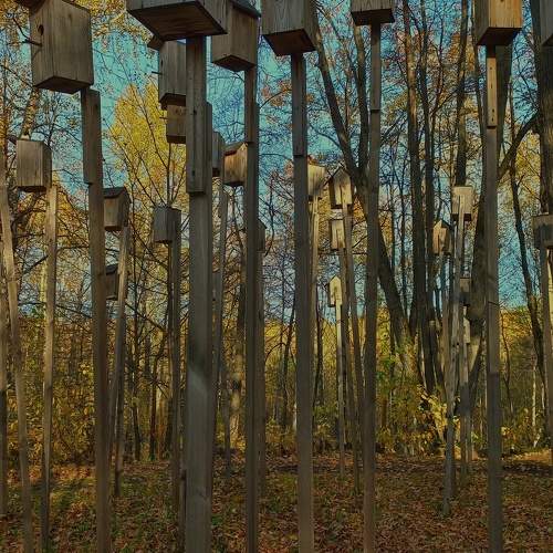 Photo #11107298