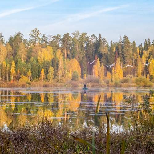 Photo #11107410