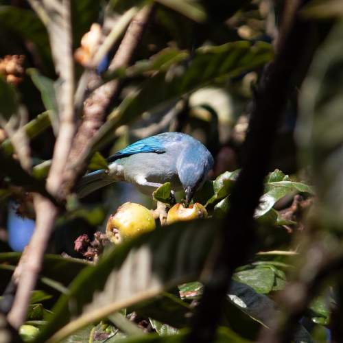 Photo #11107439