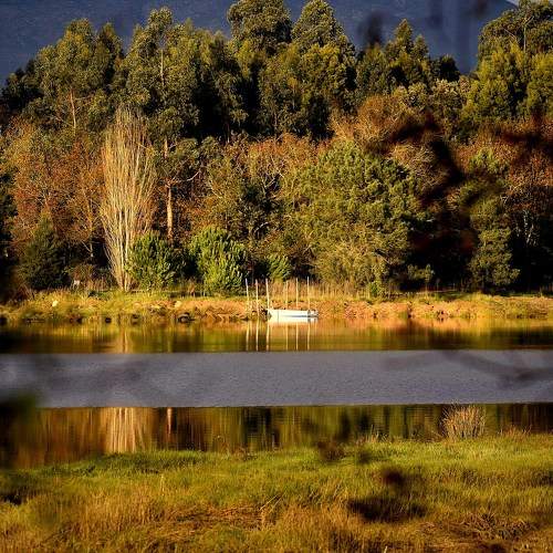 SIMPLY AUTUMN