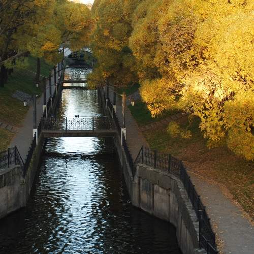Photo #11107505