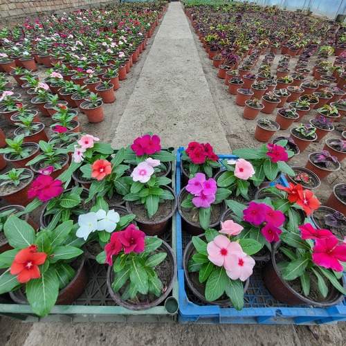 Photo #11107807