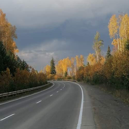 Photo #11107835
