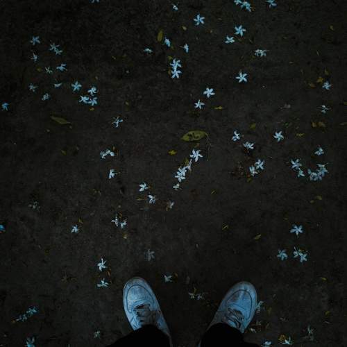 Photo #11108045