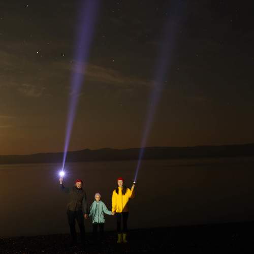 Photo #11108468