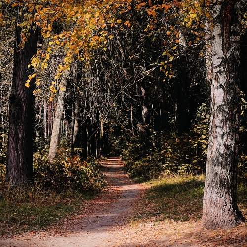 Photo #11108847