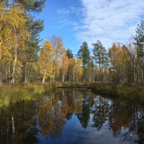 Photo #11108942