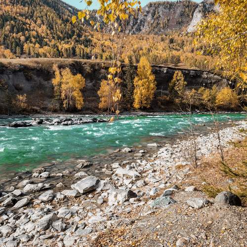 Photo #11109093