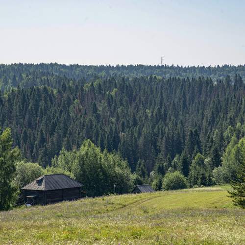 Photo #11109545