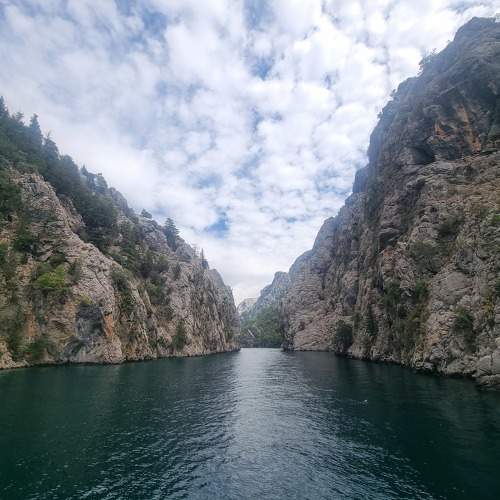 Photo #11109721