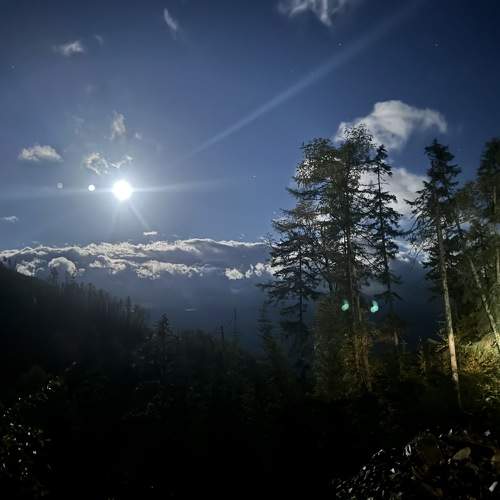 Photo #11109805