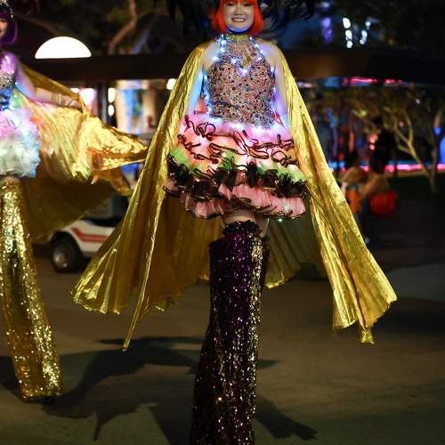 Photo #11109887