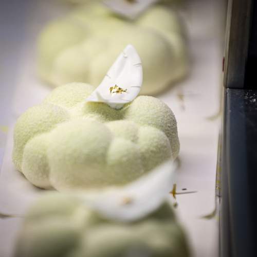 Photo #11109894