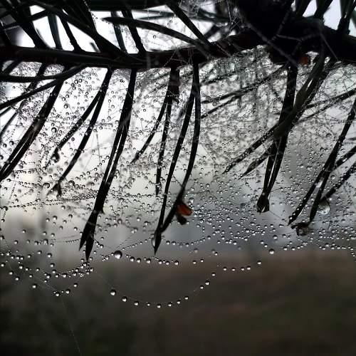 Photo #11109922