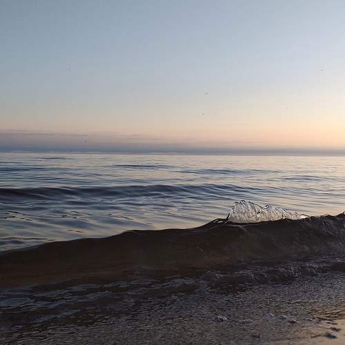 Photo #11109948