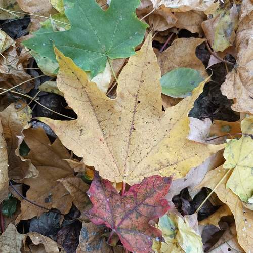 Photo #11110096