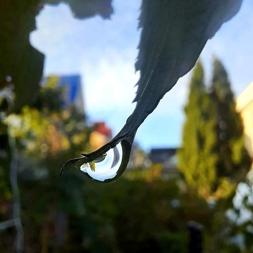 Photo #11110127