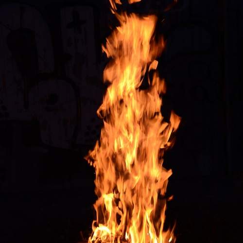 Photo #11110755