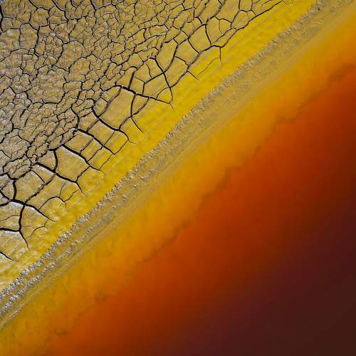 Photo #11111082