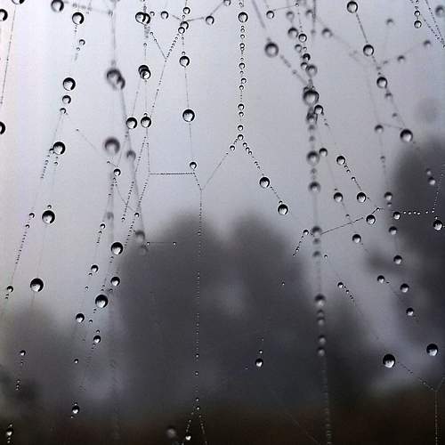 Photo #11111160