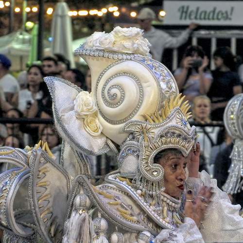 Photo #11111278