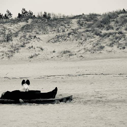 Photo #11111540