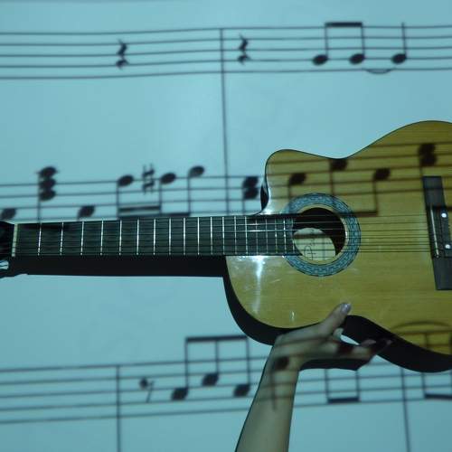 Photo #11111658