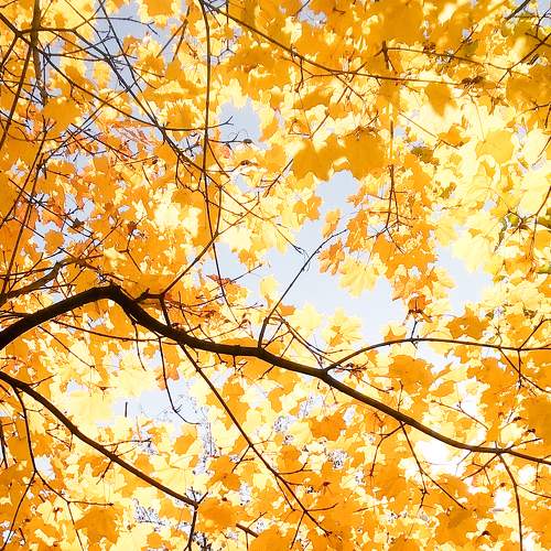 Photo #11112385