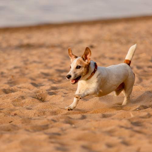 Photo #11112515