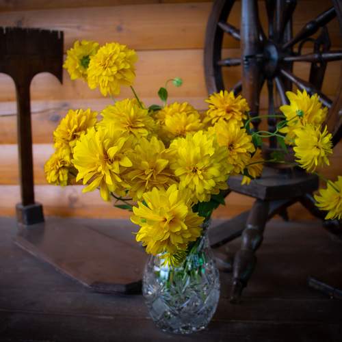 Photo #11113009
