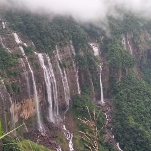 Photo #11113414
