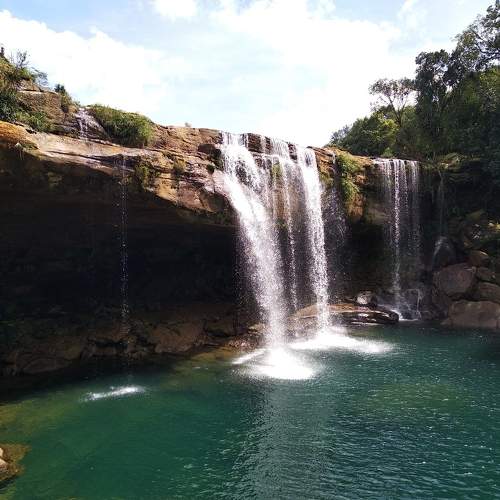Photo #11113416