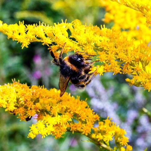 Photo #11113452