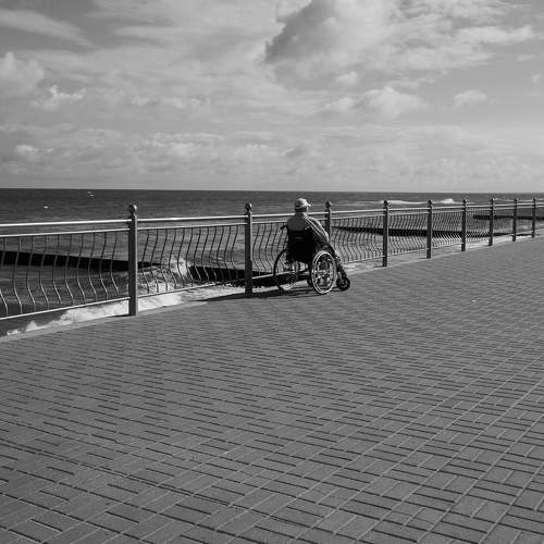 Photo #11113456