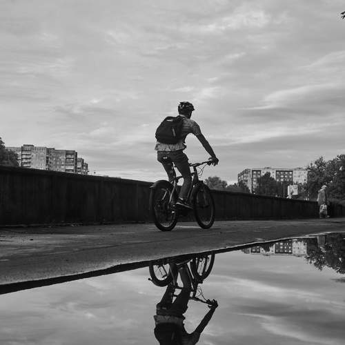 Photo #11113457