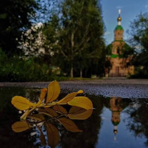 Photo #11113592