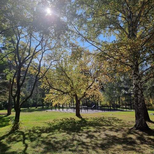 Photo #11113663
