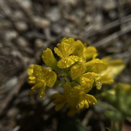 Photo #11113688