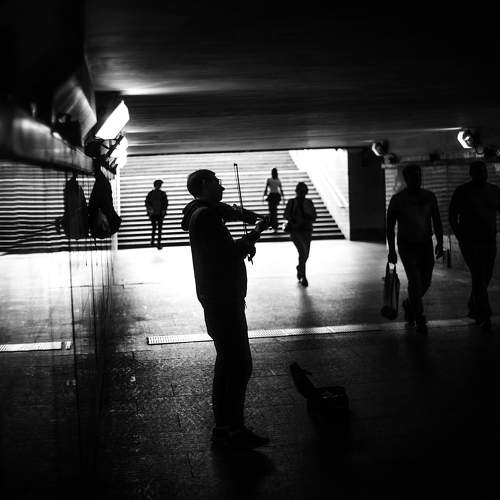Photo #11113733