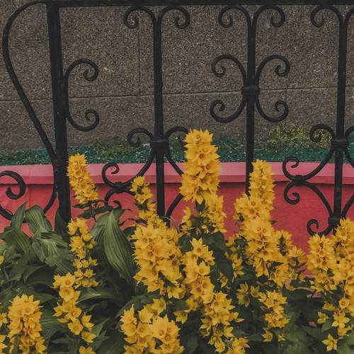 Photo #11113819