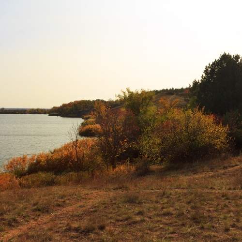 Photo #11113986