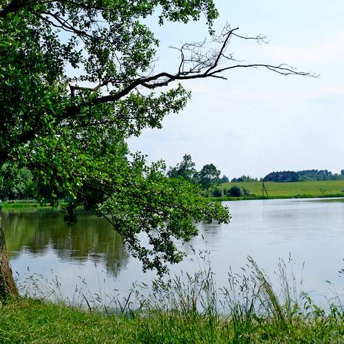 Photo #11114612