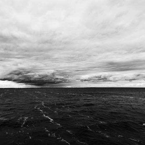 Photo #11114746