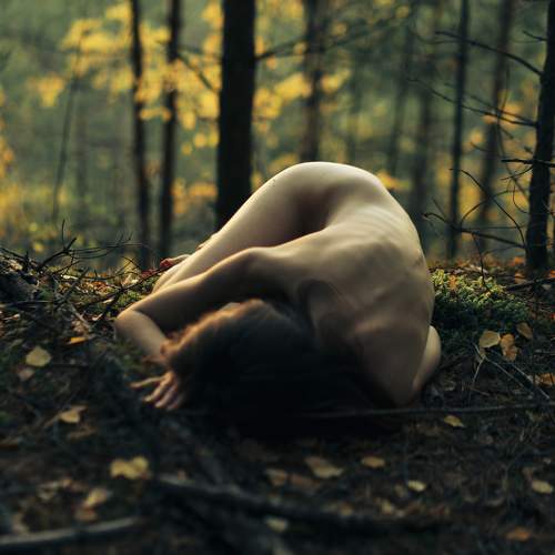 Photo #11114884